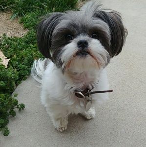 Meet your Posher, Peggy